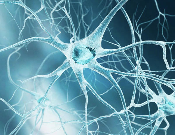 neuron-1